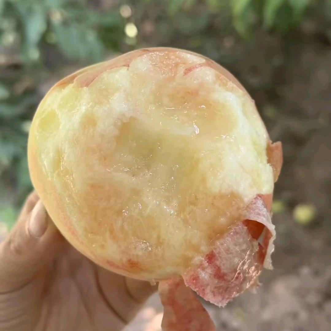 晟峰鲜果优品店