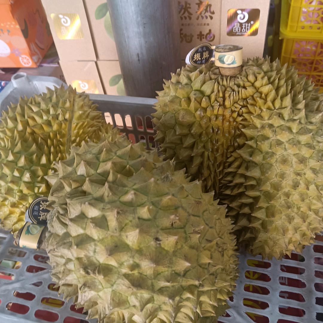 水果批发零售