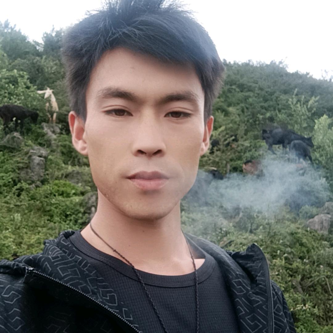 贵州威宁  小周  猪牛羊代办批发黑山羊