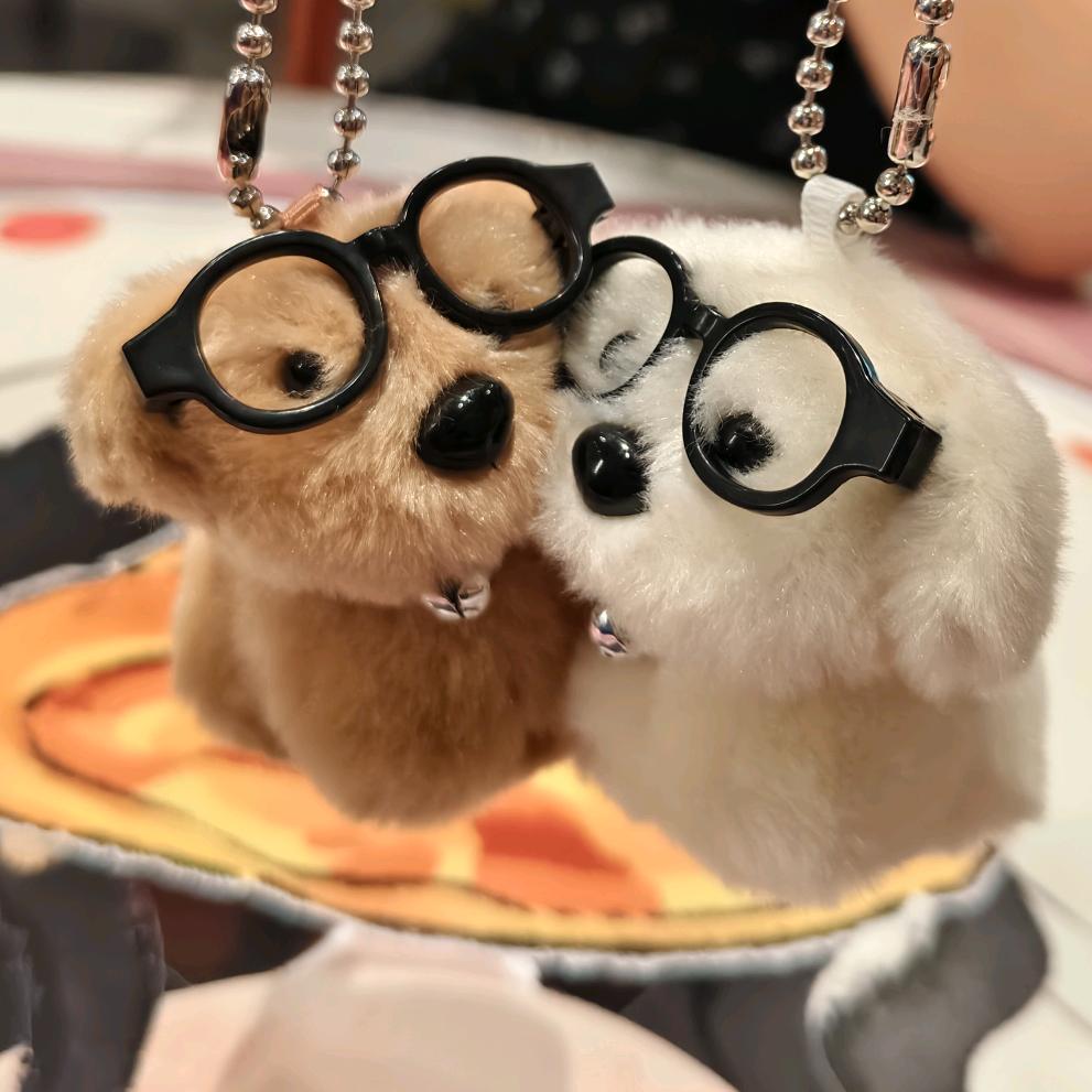 小豆同志
