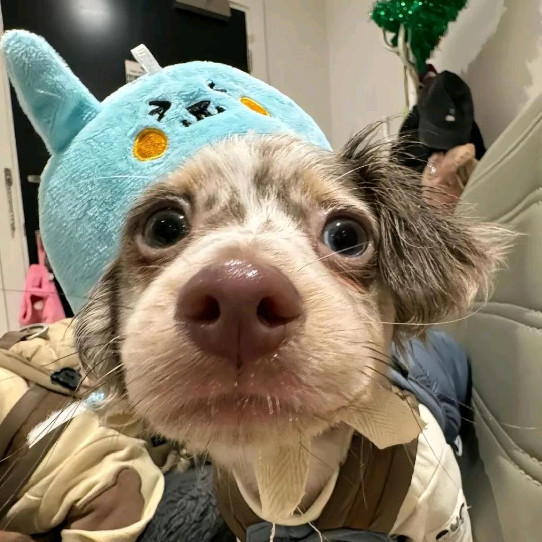 小顾老师👩🏻‍🏫