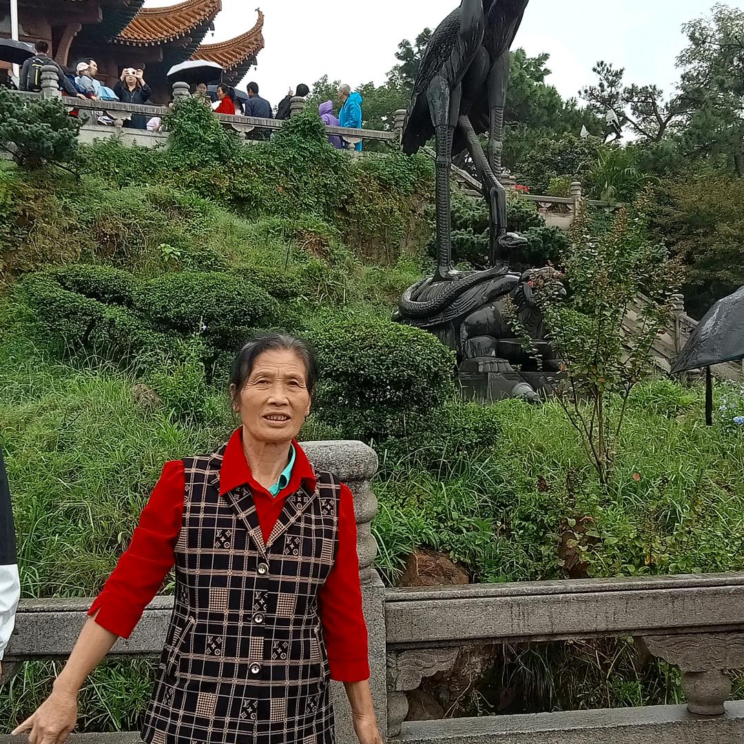 家乡美景