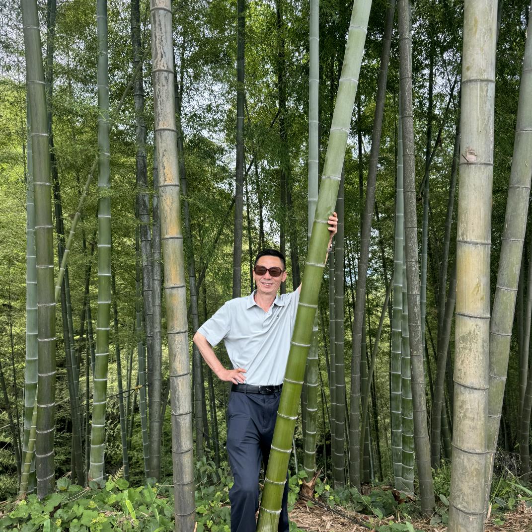 美好时光