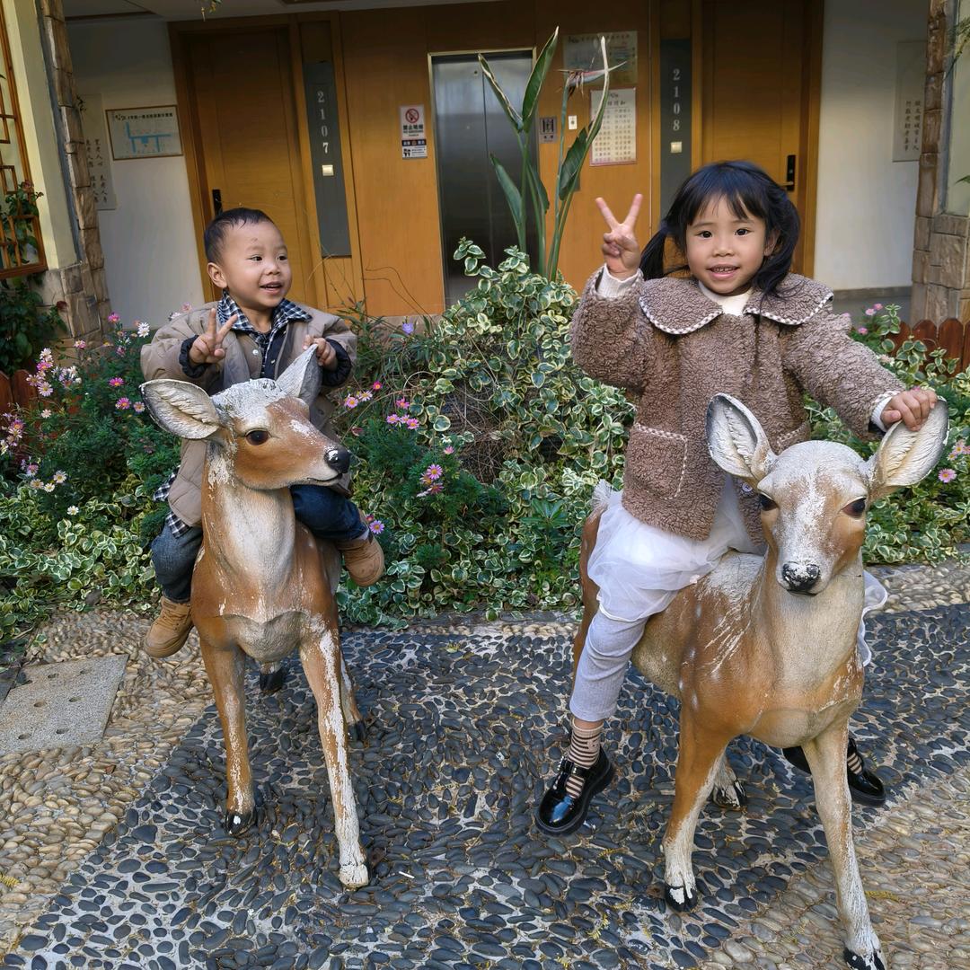芊芊小姐与畅意人生