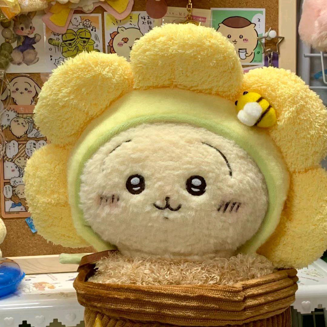 龙龙者者