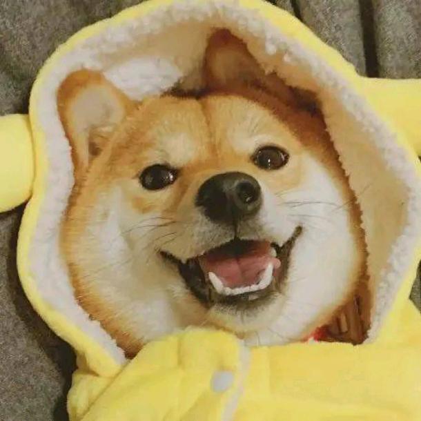 随意