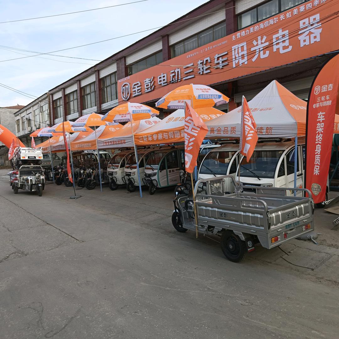 阳光电器，雅迪，金彭，牛电，百事利，心爱