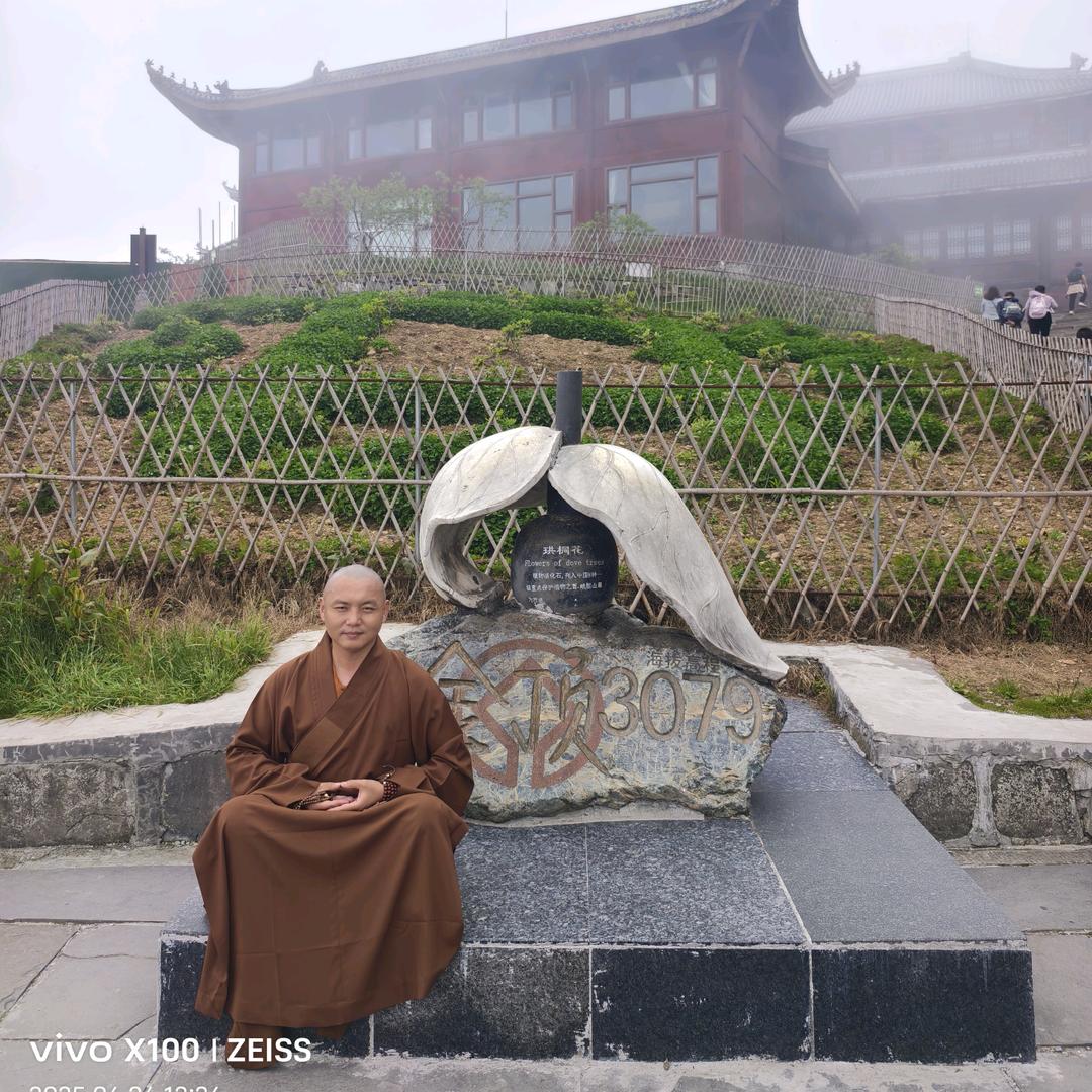 ☸卍禅心卍☸📿️