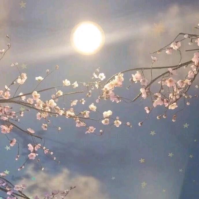 几度夕阳红@