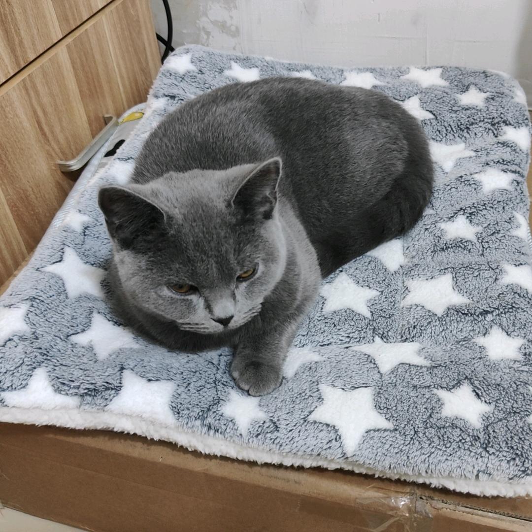 歪歪小歪
