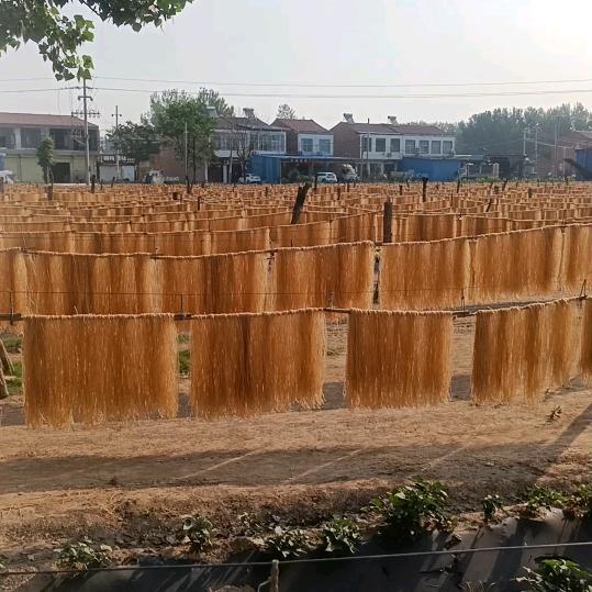 曹家粉条厂（曹二妮）