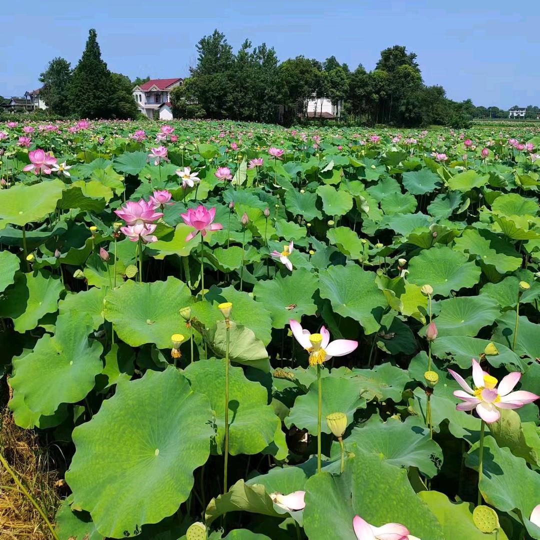 远景时尚高端牛仔