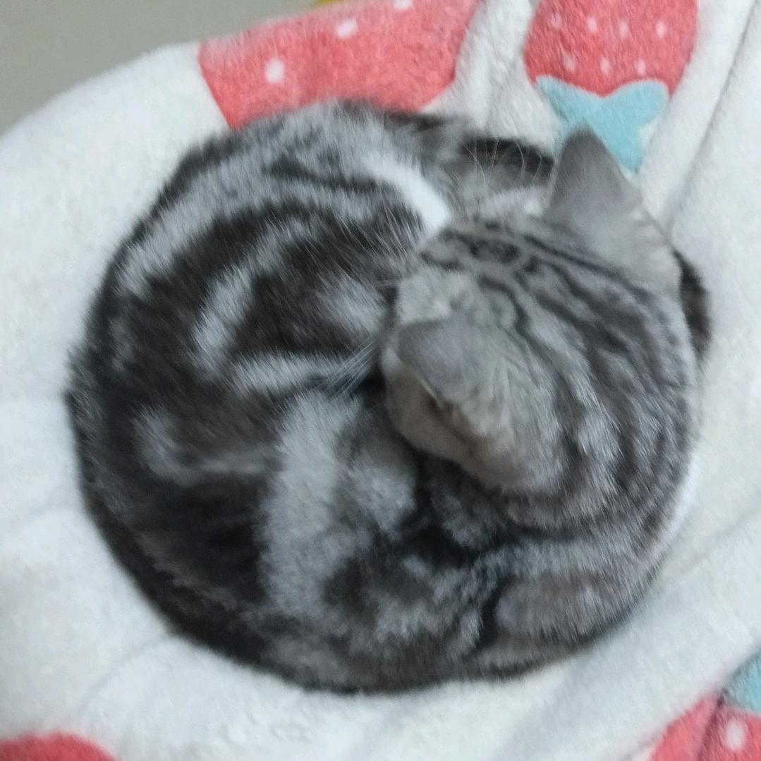 开心每一天🌺🌺