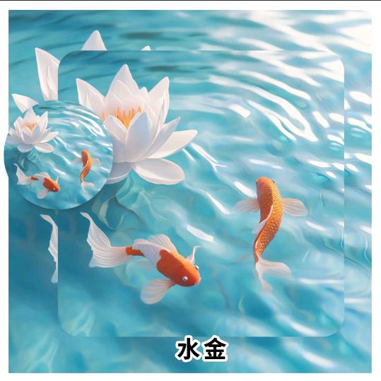 黄清💗🐍