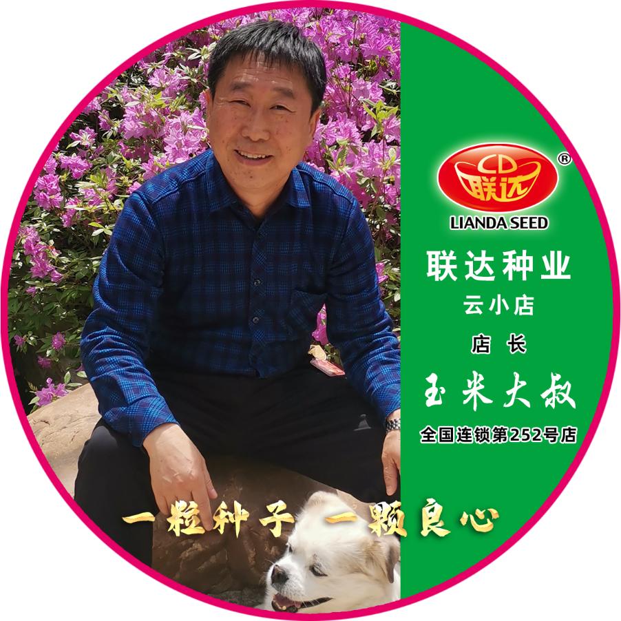 联达丹东云小店-玉米大叔