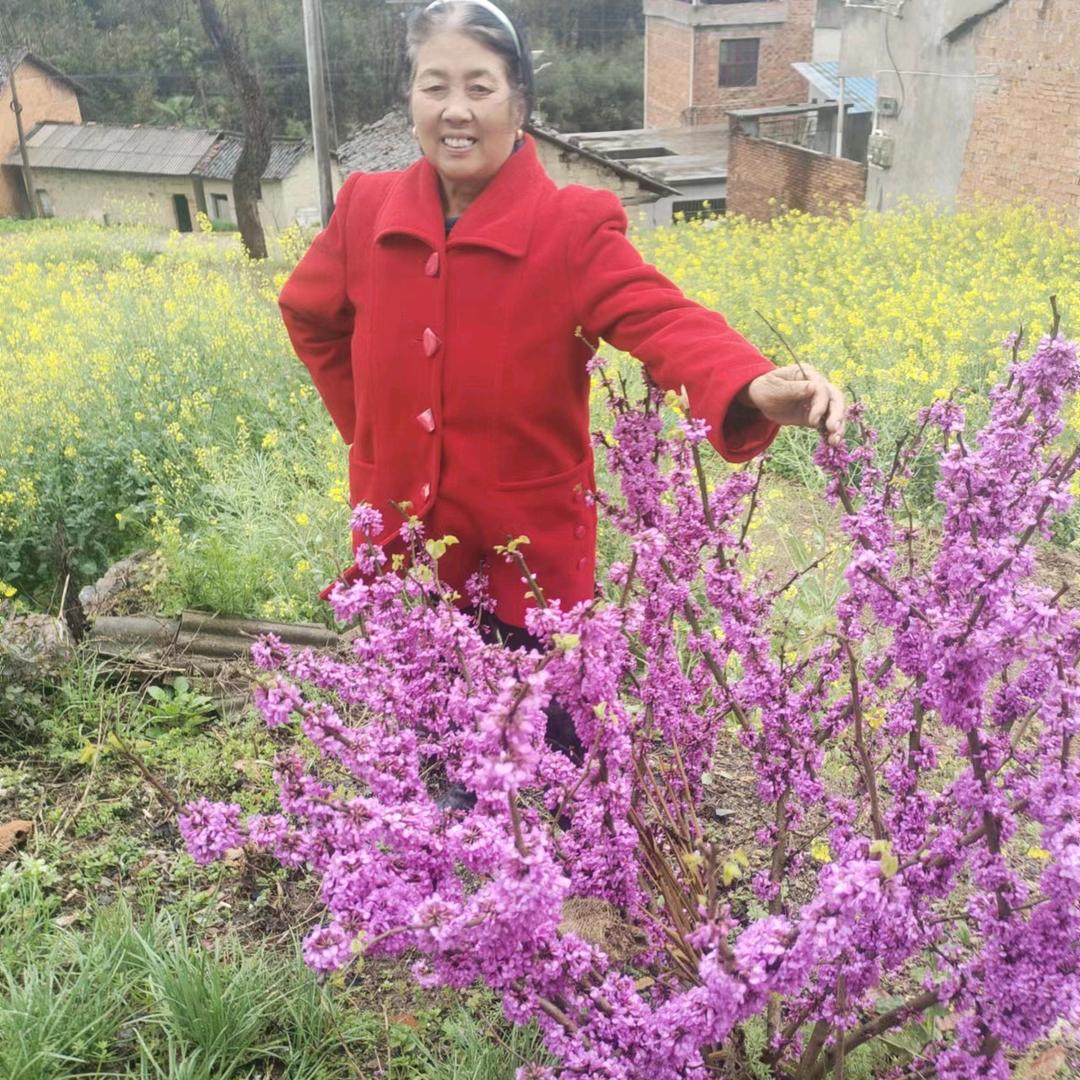 开心每一天五六年的猴