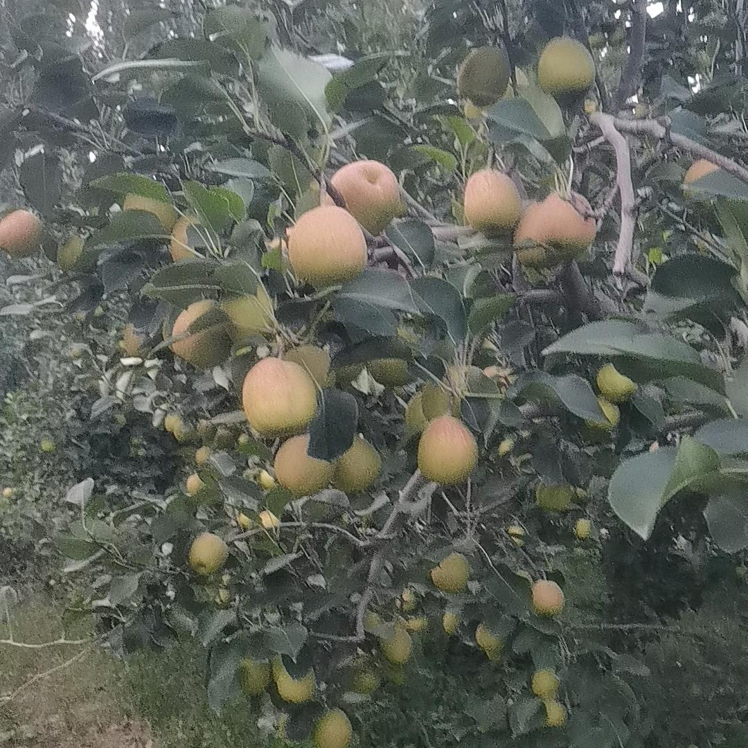 水中望月