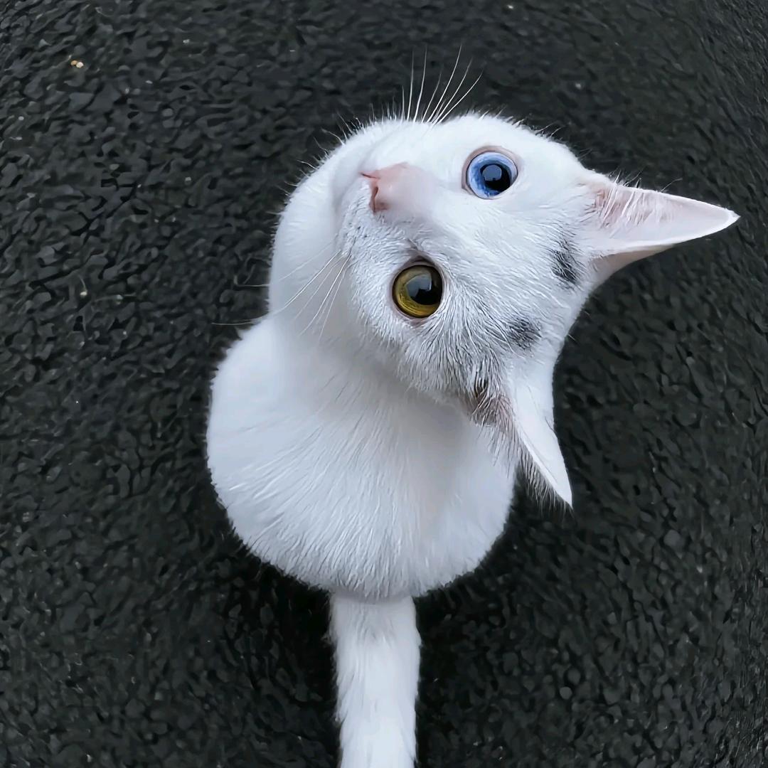 13.