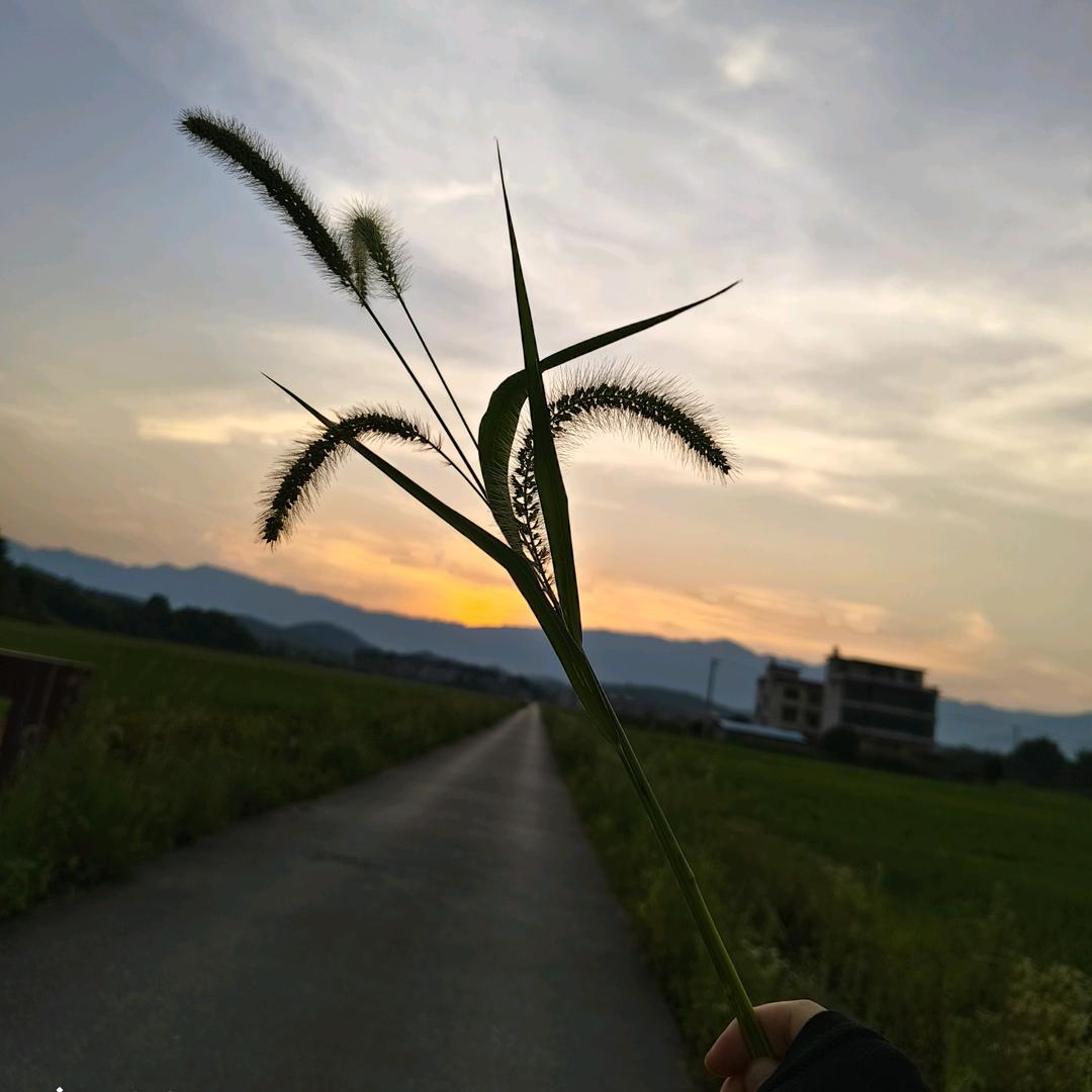 ～佳哥