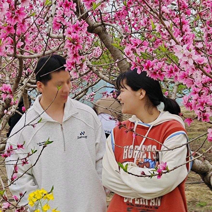 鑫海实木家具小凤