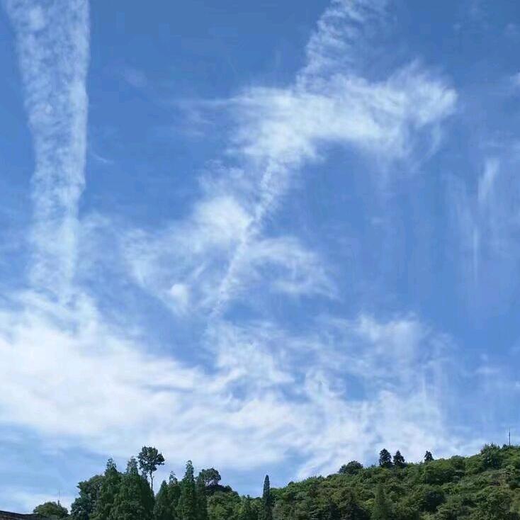 君君《东方散修》