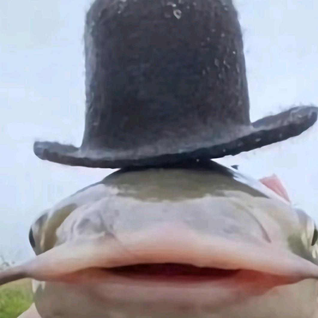 南辞
