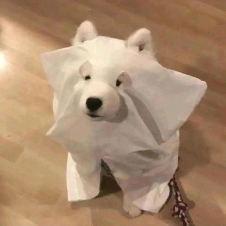 和弦