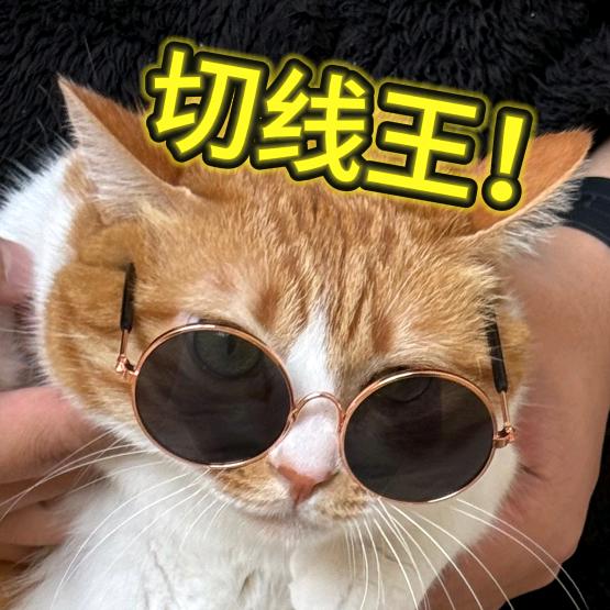 吃不胖的橘（钓鱼🎣）