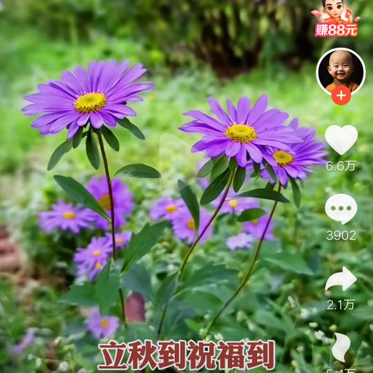 拼搏！