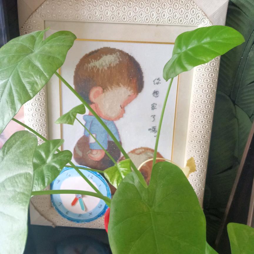 辰轩读书
