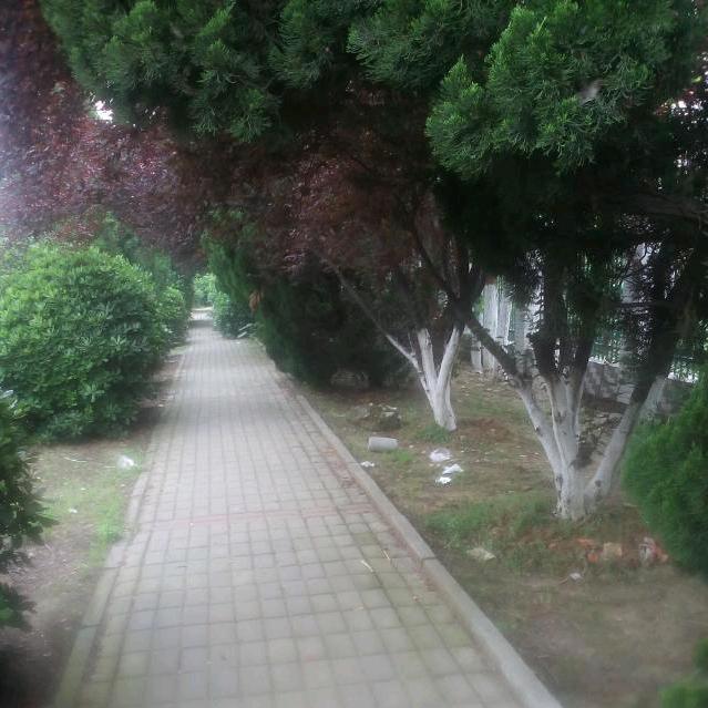 《行和不行》谁行
