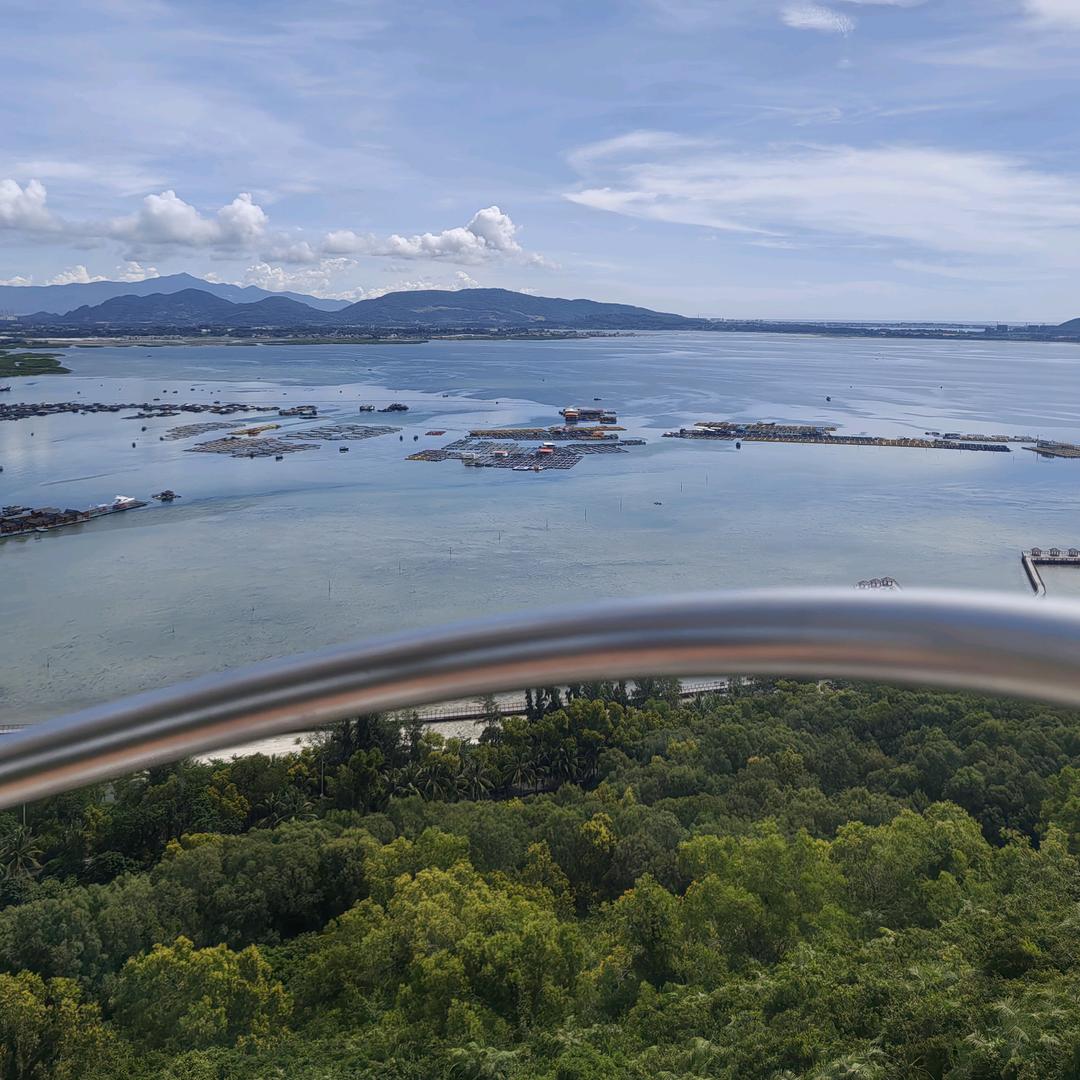 好物分享（花姐亲子关系心理咨询）