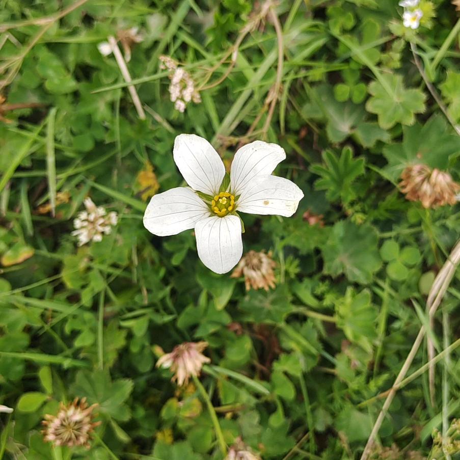 莫欺少年_188441651