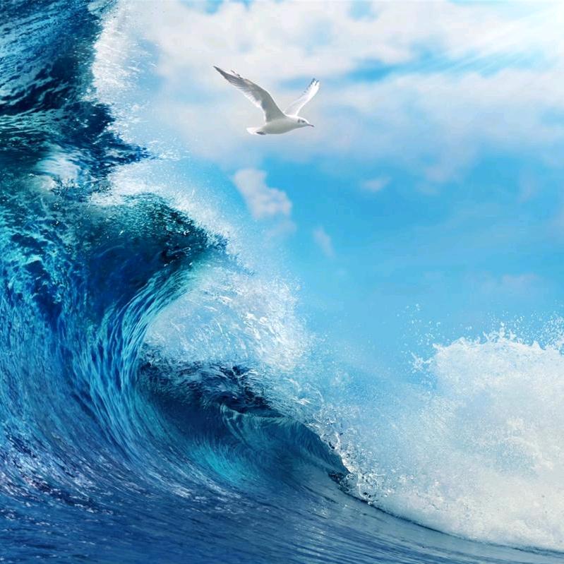 浅浅一笑
