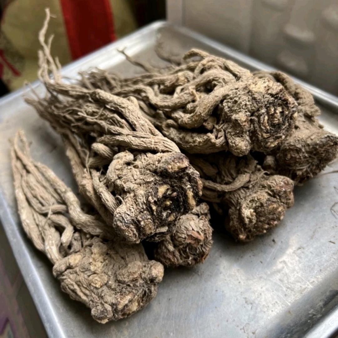 归芪参滋补养生店