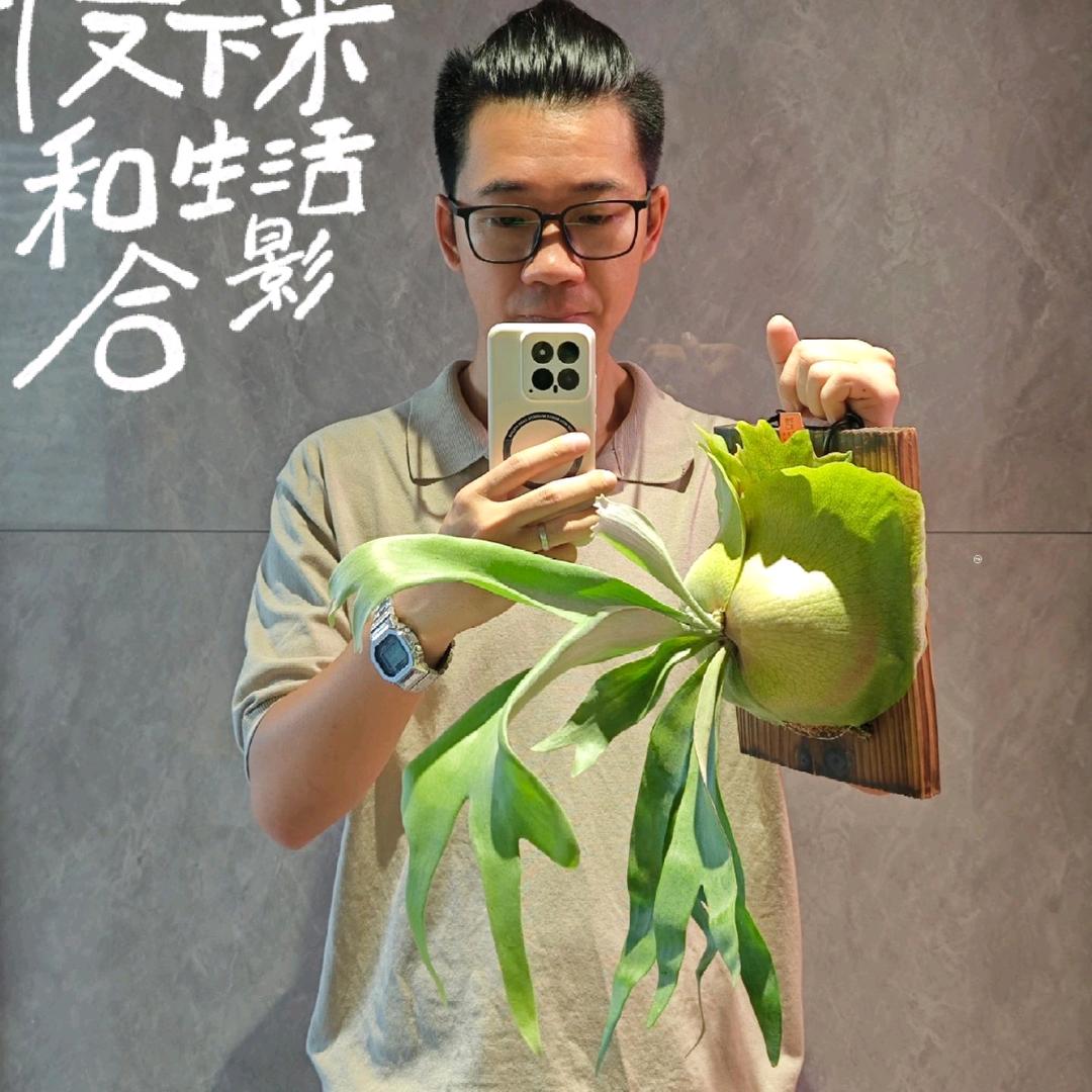 动植物系周教授