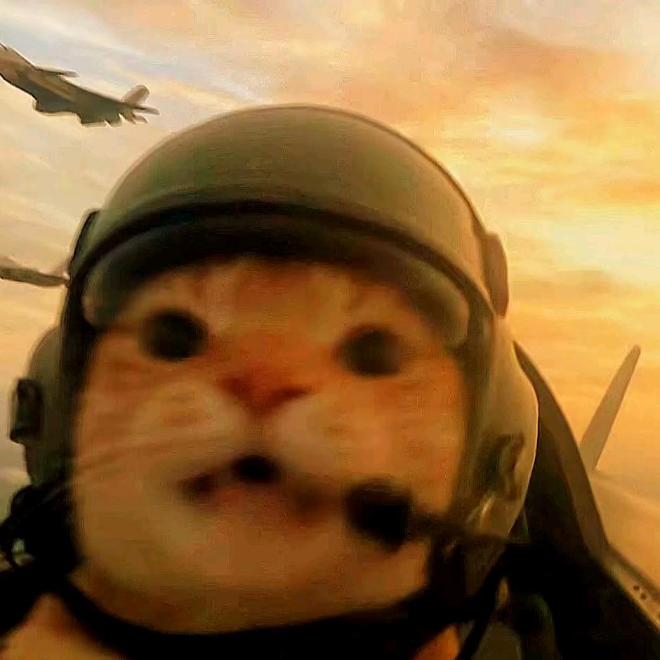 吃饭睡觉打豆豆