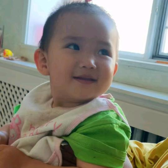 安妮