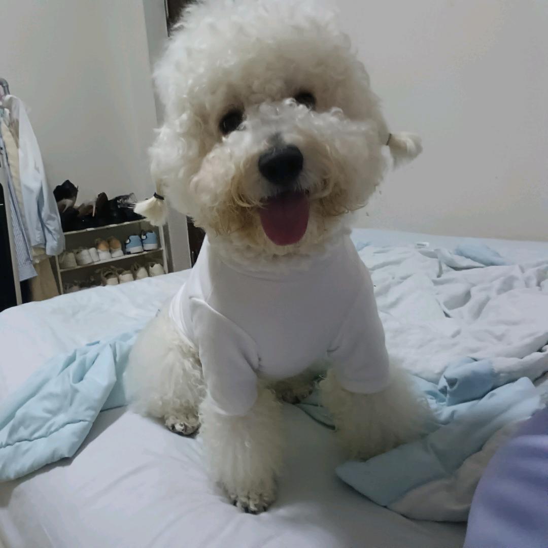 向日葵