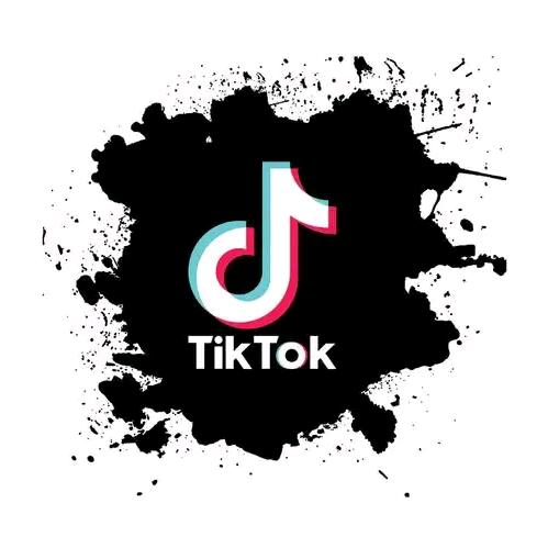 TK出海电商扛把子