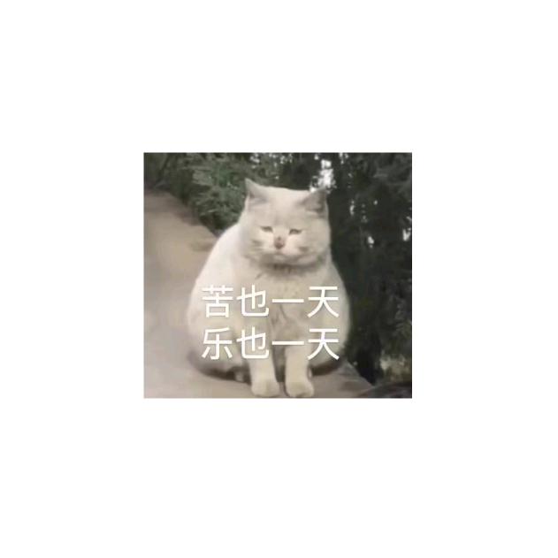 小明一号