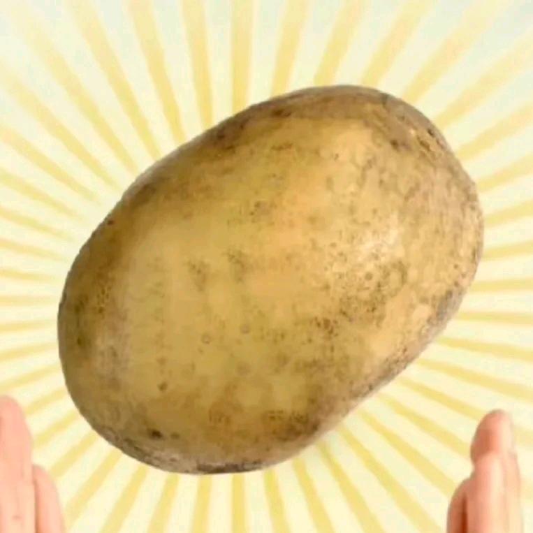 一个土豆🥔