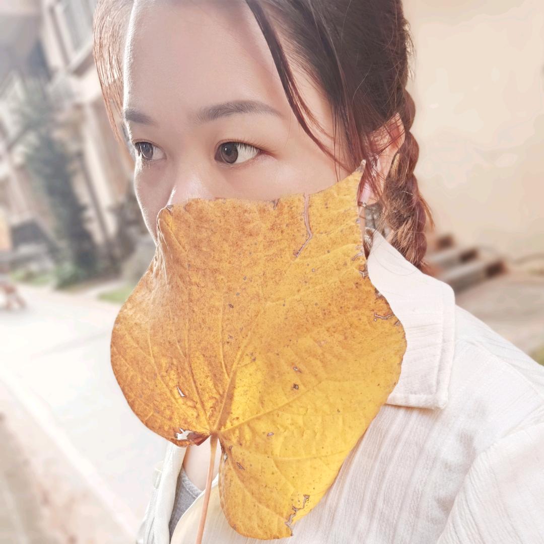 七菇凉
