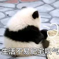 起风啦