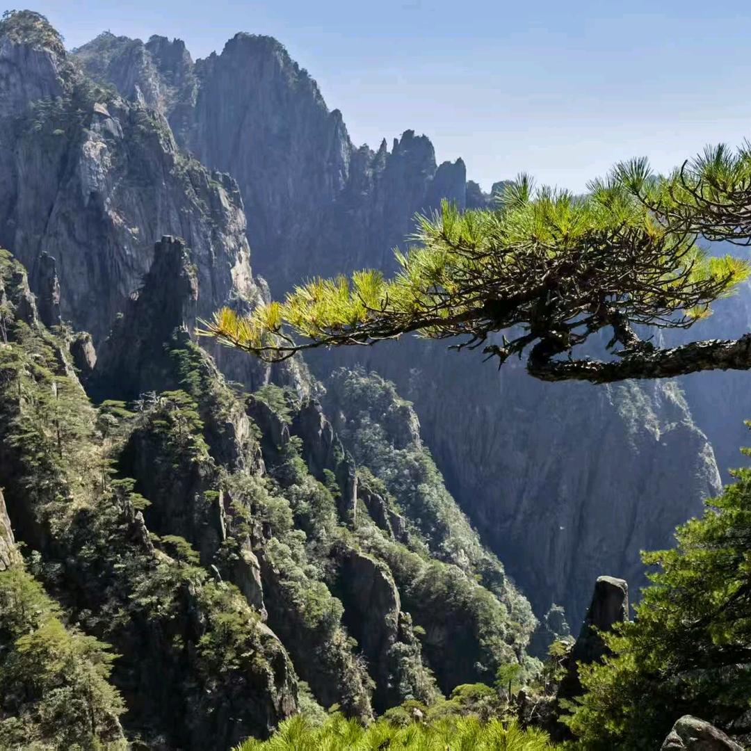亿丰粮油