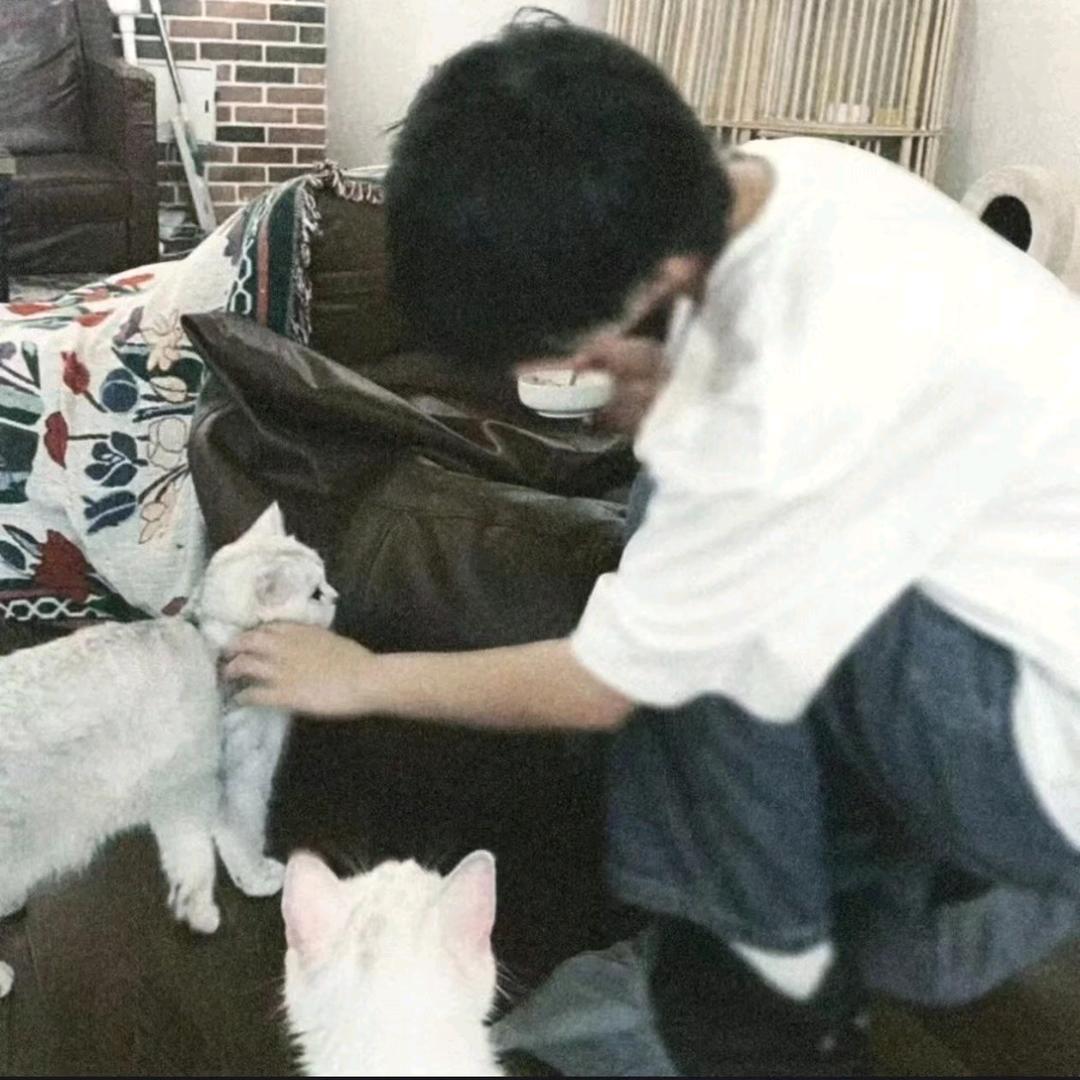 M78星云最后的深情