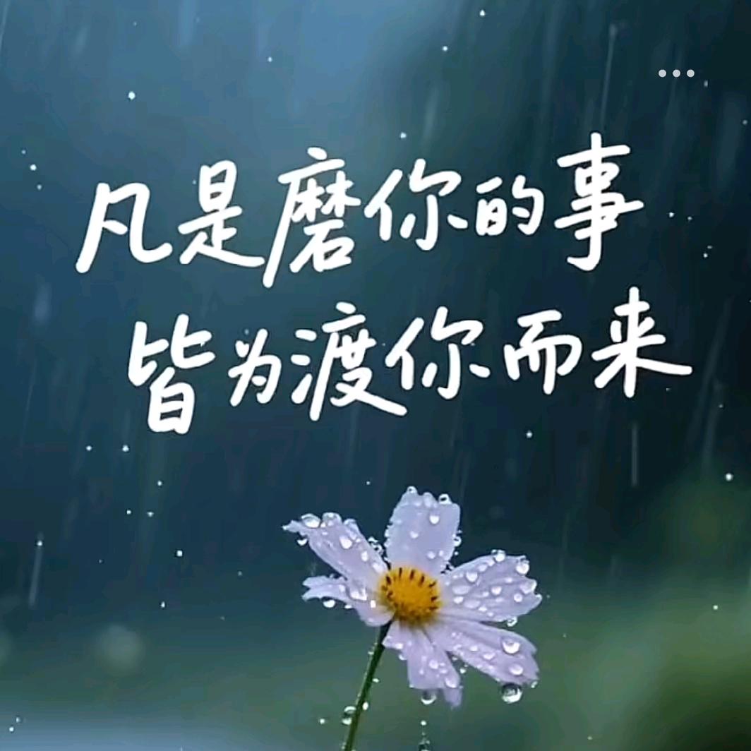 ✨ঞৣꦿ꯭释ঞৣঁ怀℘ᥫᩣ: ✎ℳ๓