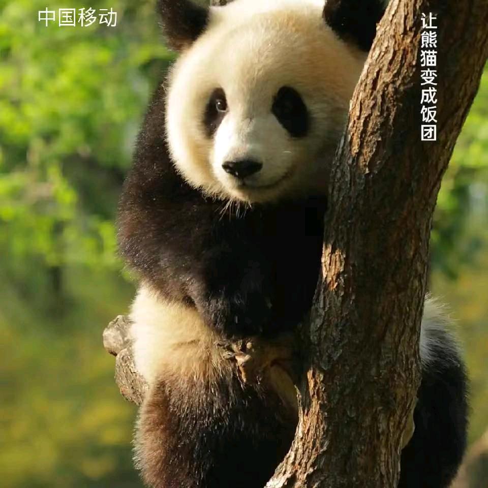 男人就是累