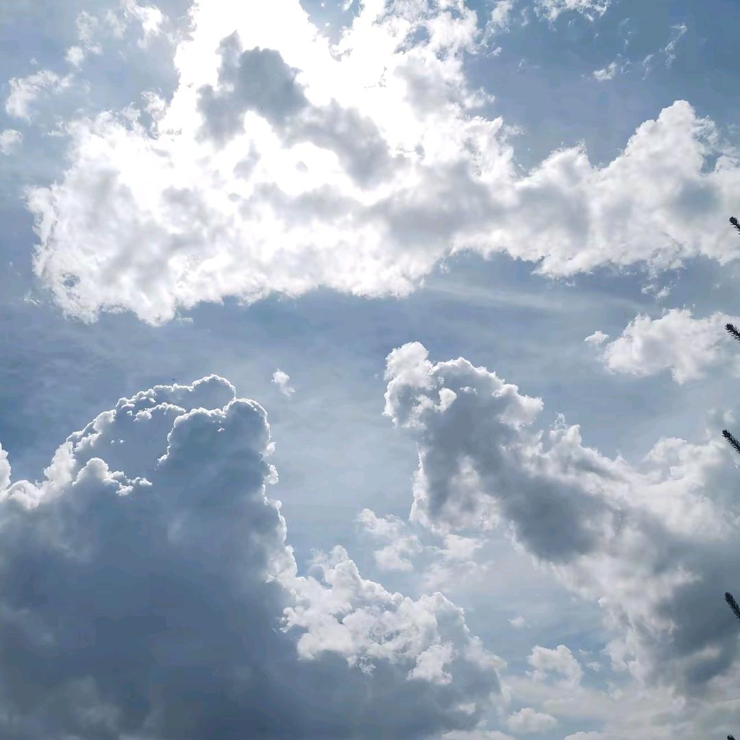 工水[原神老玩家]