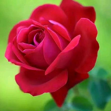 开心拥抱每一天